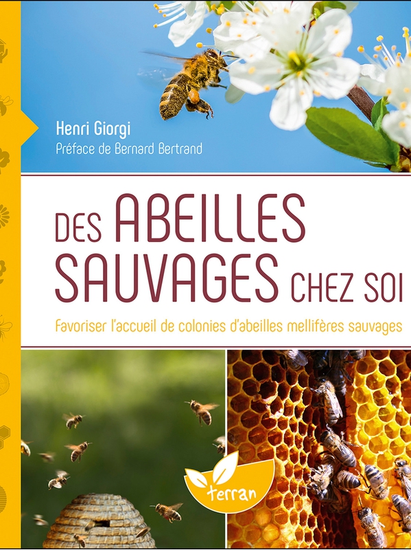Alternatives apicoles Des abeilles sauvages chez soi Favoriser l'accueil de colonies d'abeilles mellifères sauvages 
